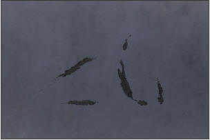 Judith Trepp Gem�lde 2010